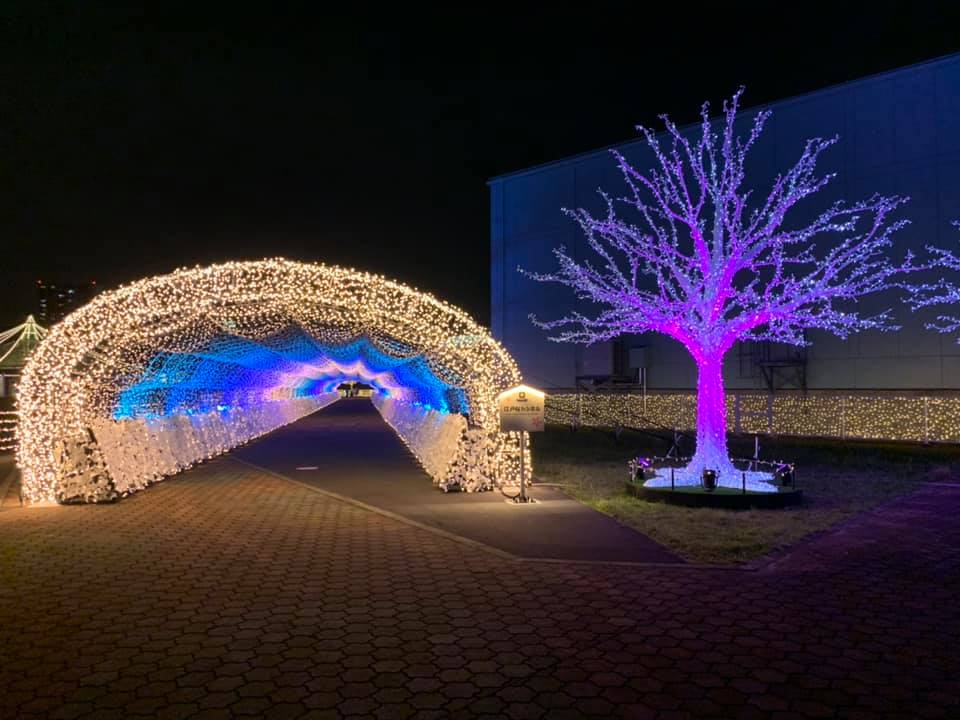 大井競馬場(東京メガイルミ)